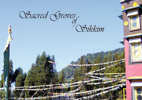 Sacred Groves of Sikkim 2011 Edition